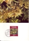 Preview: FL 0776 / 0779 MC ● - 1981
